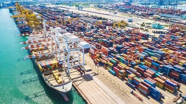 Customs clearance service provider